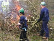 ... and there was no shortage of volunteers to feed the obligatory bonfire...